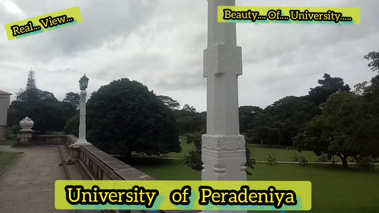 Beauty of university