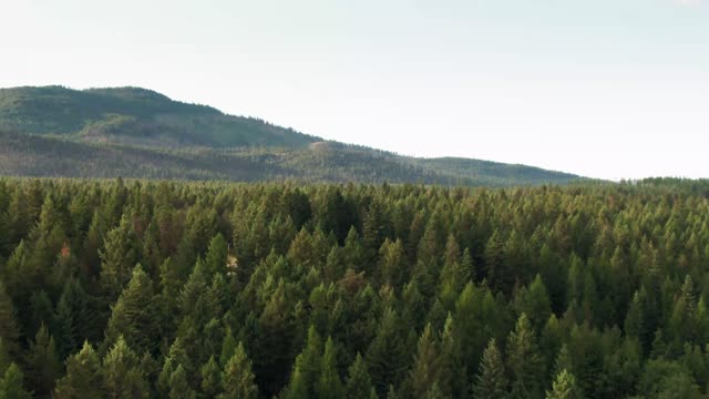 Beautiful Nature