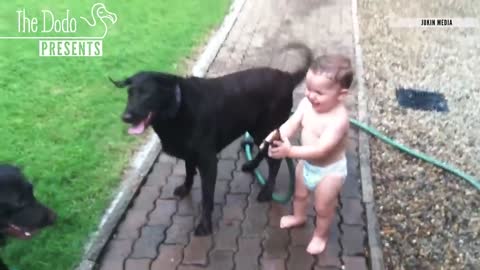 Babies Laughing At pets the Dogs video