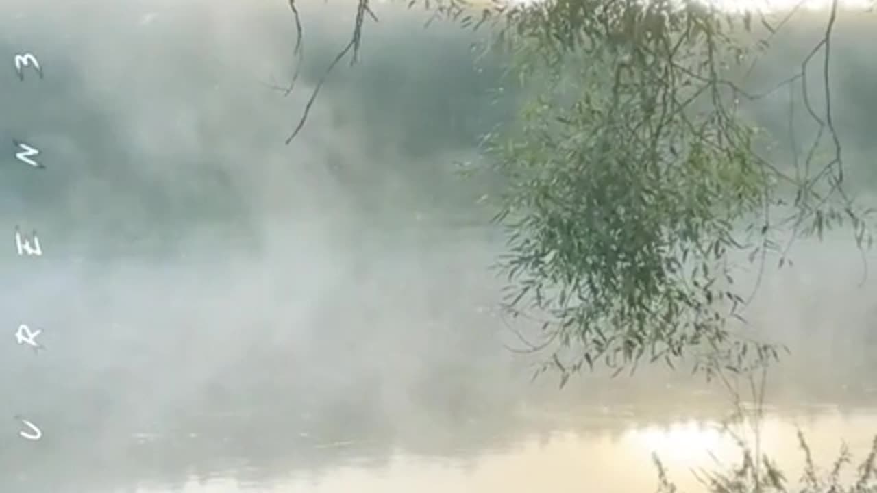 Lauren 3ve - May we be liken to Him