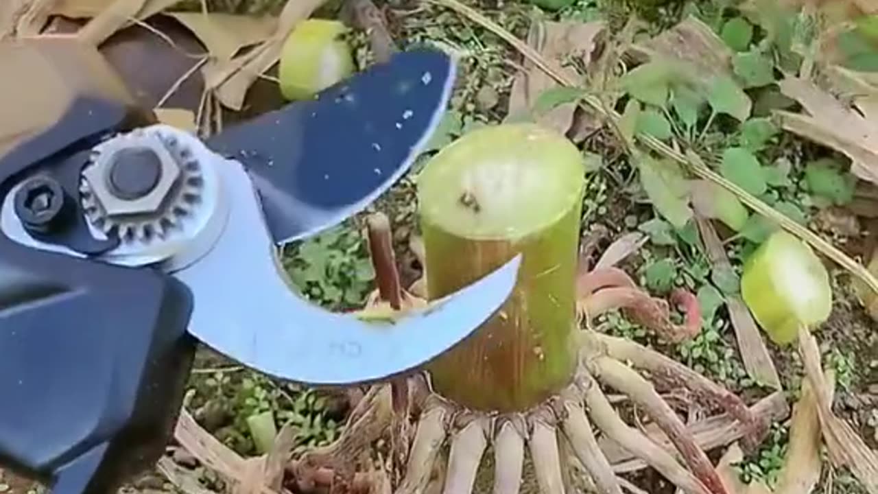 Cutting tools