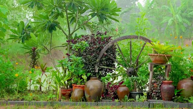 Rain on Pottery: Nature's Sweet Rain for Relaxation and Peaceful Thoughts