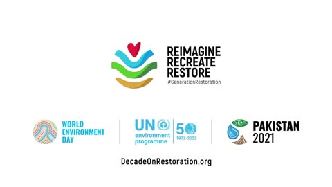What is ecosystem restoration?