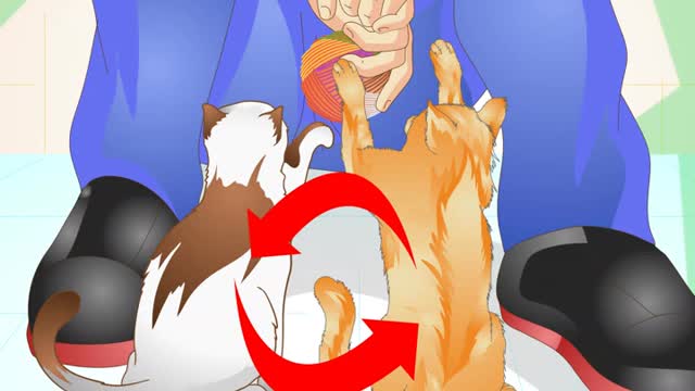 How To Prevent Cat Spraying Tips And Tricks