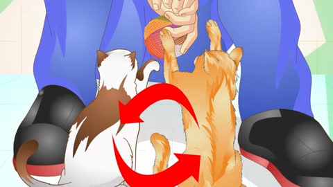 How To Prevent Cat Spraying Tips And Tricks