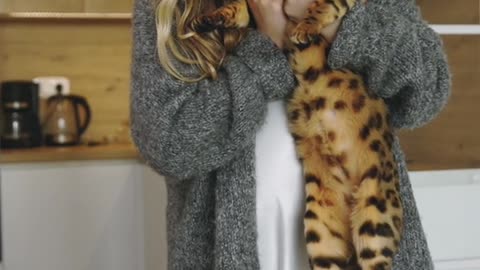 Mama Cat Takes Back Crying Kitten From Toddler