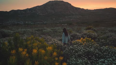 Have you ever want to visit thie place like this? comment below if you love to vibe with nature