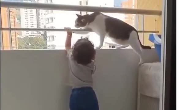 #short #Cats #Dogs #Pets #Animals.. Funny PETS Videos! TRY NOT TO LAUGH.
