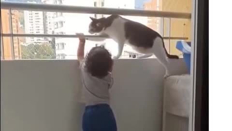 #short #Cats #Dogs #Pets #Animals.. Funny PETS Videos! TRY NOT TO LAUGH.