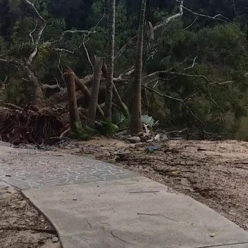 20.4.2024 Barron River Esplanade