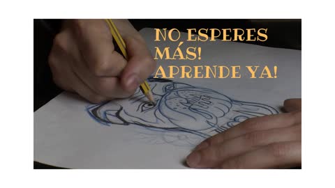 Aprende A Dibujar Realismo