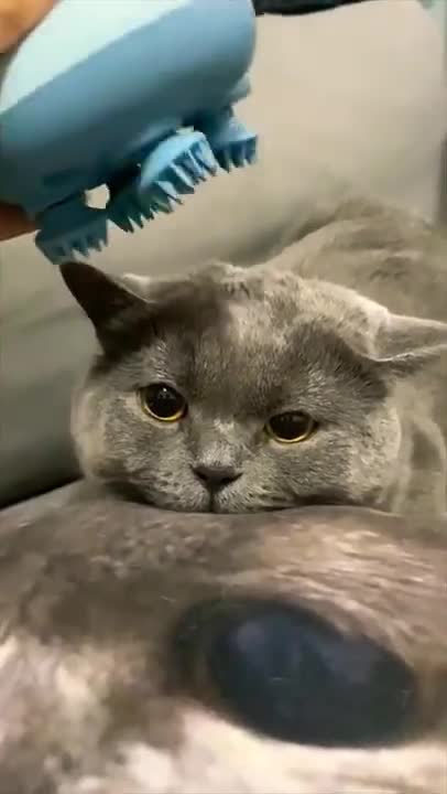 9.guys please support me ☺