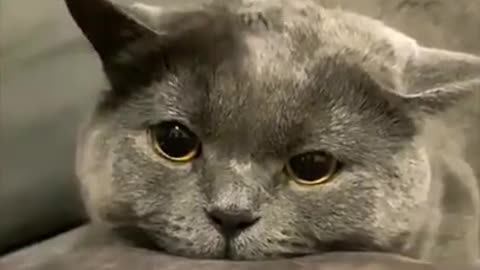 9.guys please support me ☺