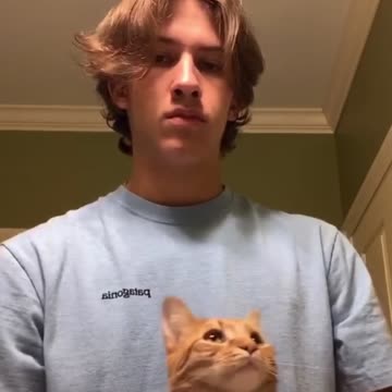 Man dances with my cat online