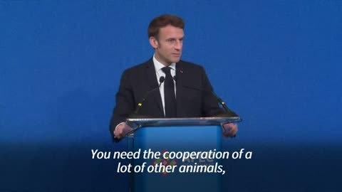 'We need a single global order' says Macron at APEC summit | AFP