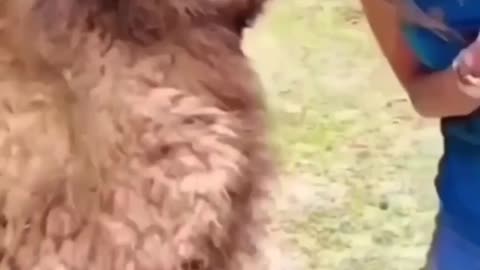 You can't stop your Laugh 🤣