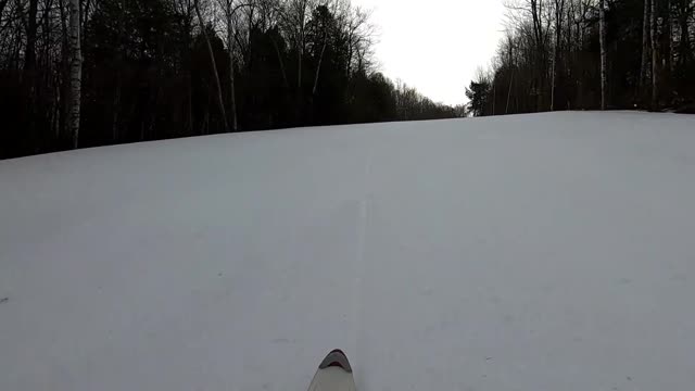 Wrong way skiing