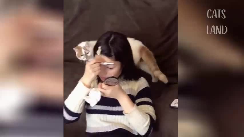 Best Funny Cat Videos 2021 🐺 Soo cute cuts