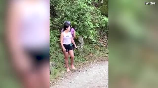 Amazing moment curious bear approaches group of hikers in Mexico