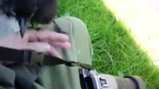 Amazing Crow Video - HypnotizE