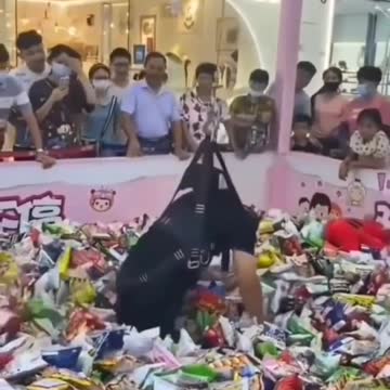 Respect #khabylame #reaction