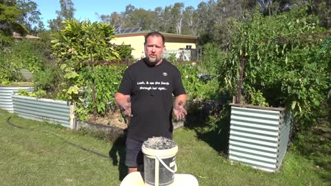 What Happens When You Use Ash in the Garden?