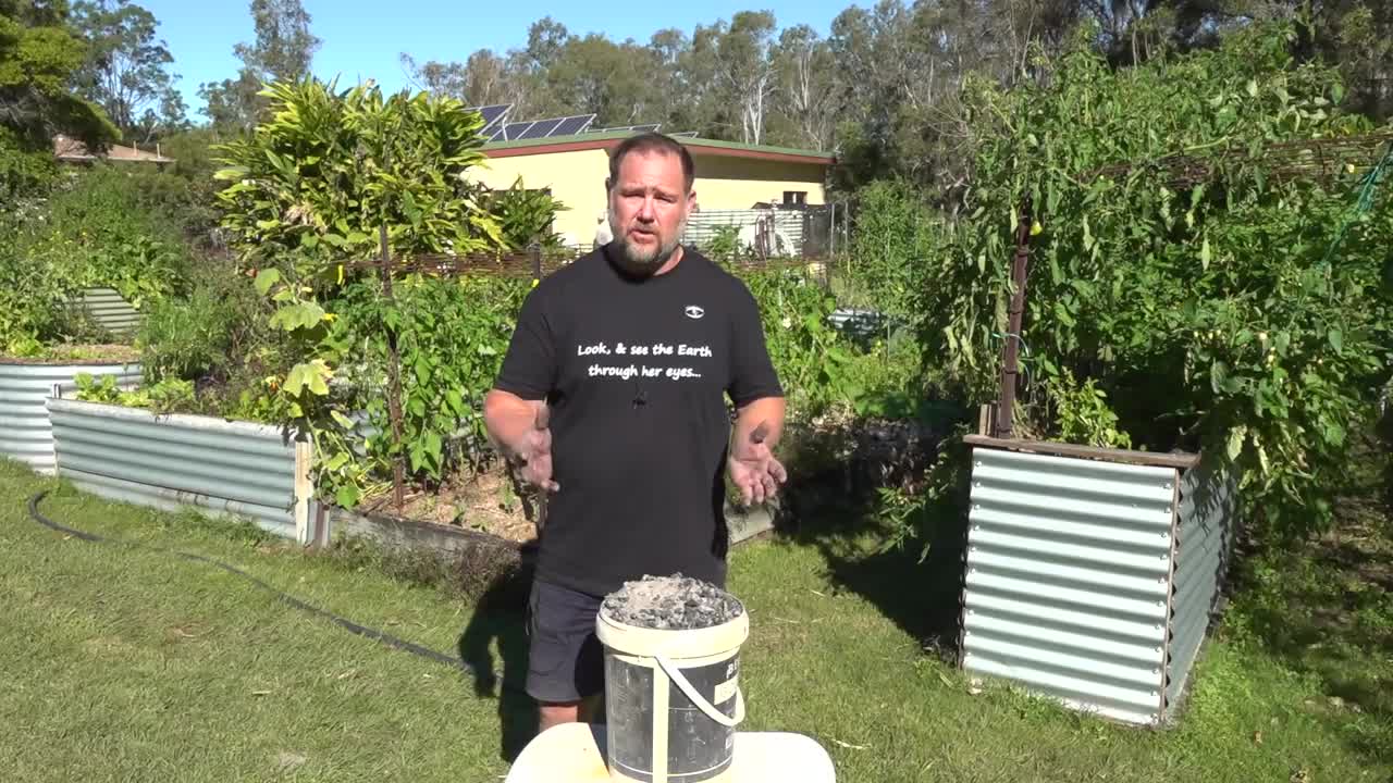 What Happens When You Use Ash in the Garden?