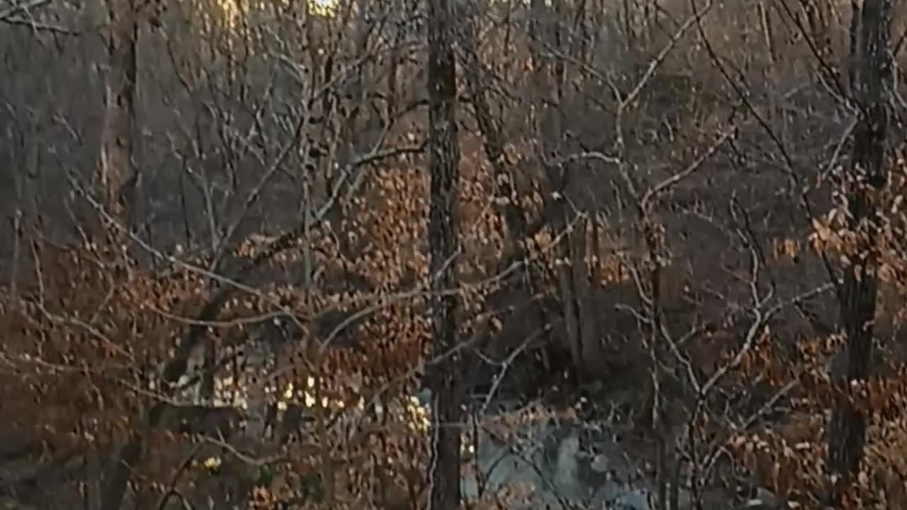 Test video number one