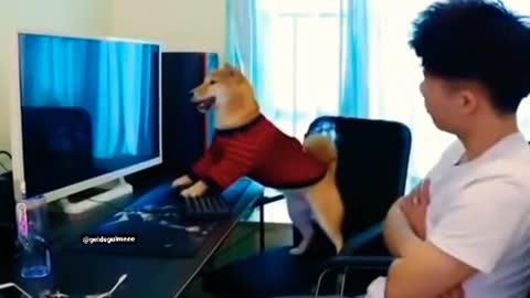 Gaming Doggy 🐕🐕