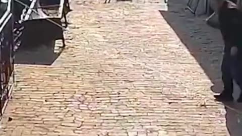 Funny Fails Videos - Pets Videos