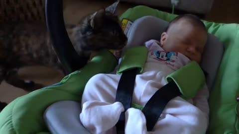 Newborn and the Cat <3