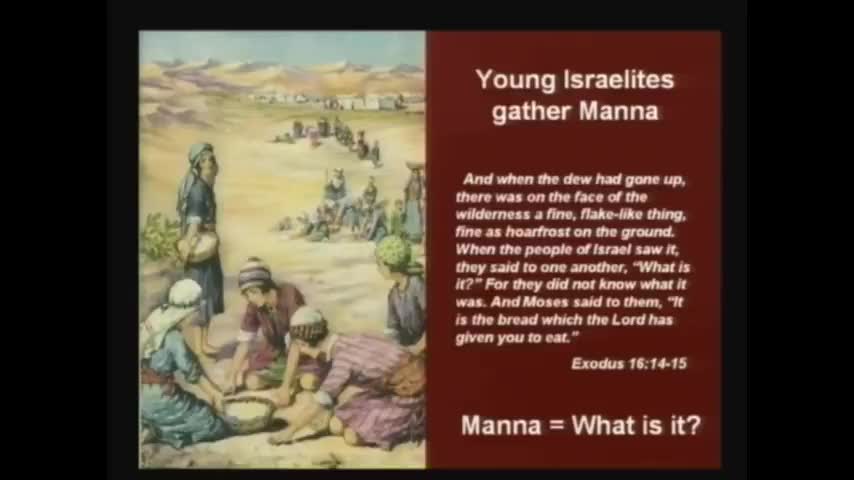 JIM MARRS THE RISE OF THE FOURTH REICH 2009