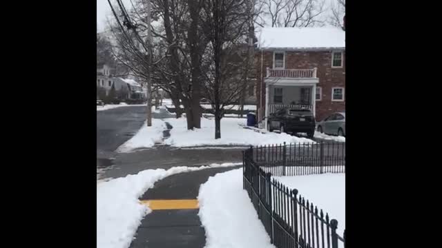 Snow In Newtonville Massachusetts