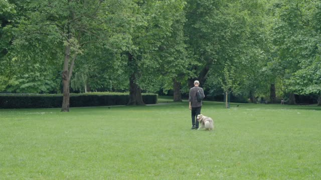 A man walks with his Australian shepherd