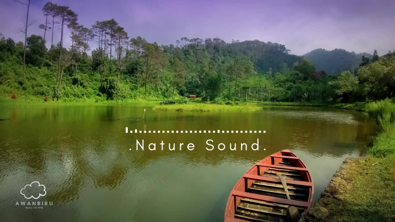 Relaxing Nature Sounds