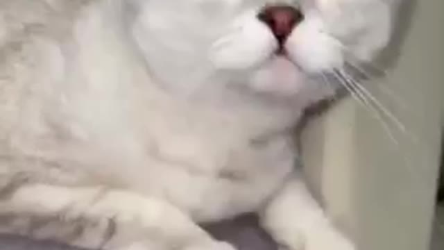 How you do this