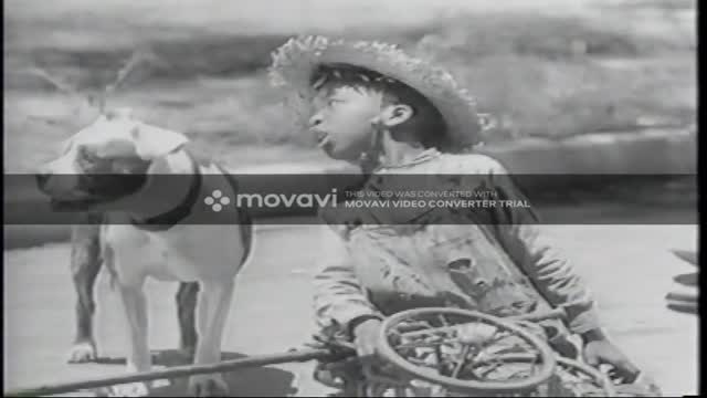THE LITTLE RASCALS -- Lazy Days
