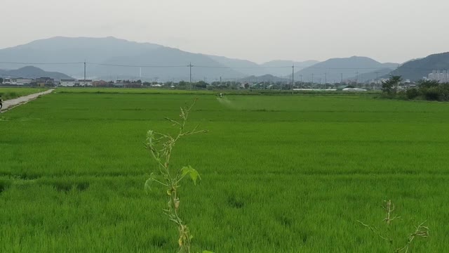 How koreans using drones effectively in agriculture