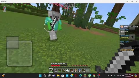 playing with my friend in minecraft