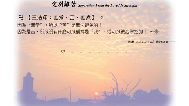 025【三法印:無常、苦、無我】630422