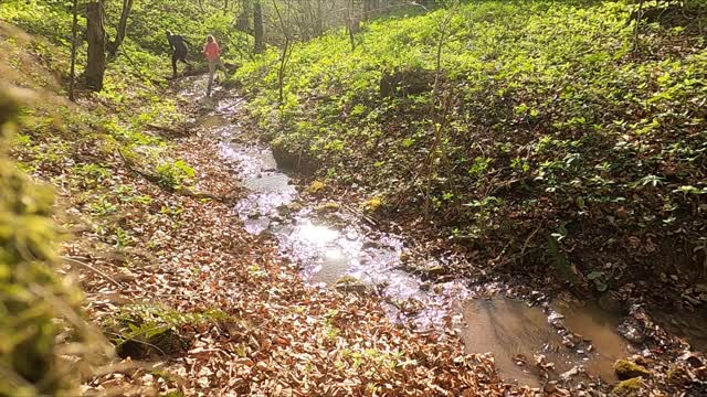 video nature woman water sun