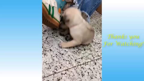 go cute and fun
