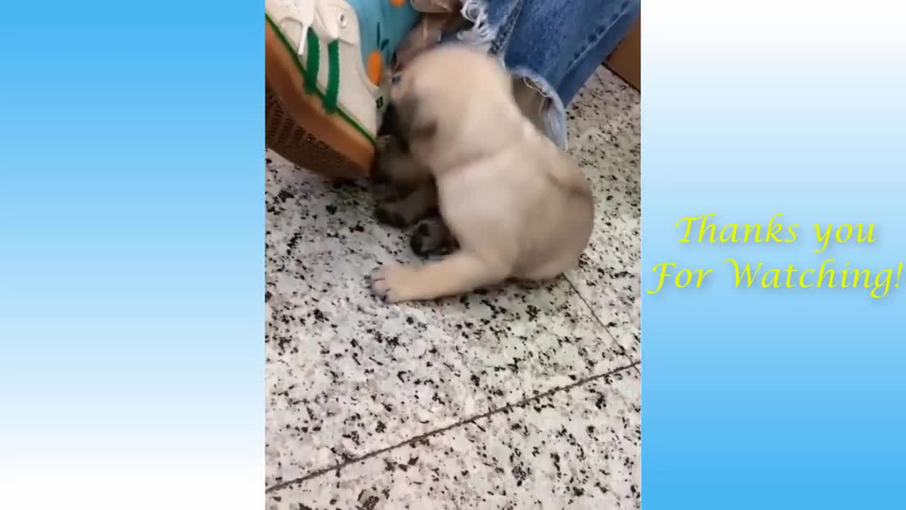 go cute and fun