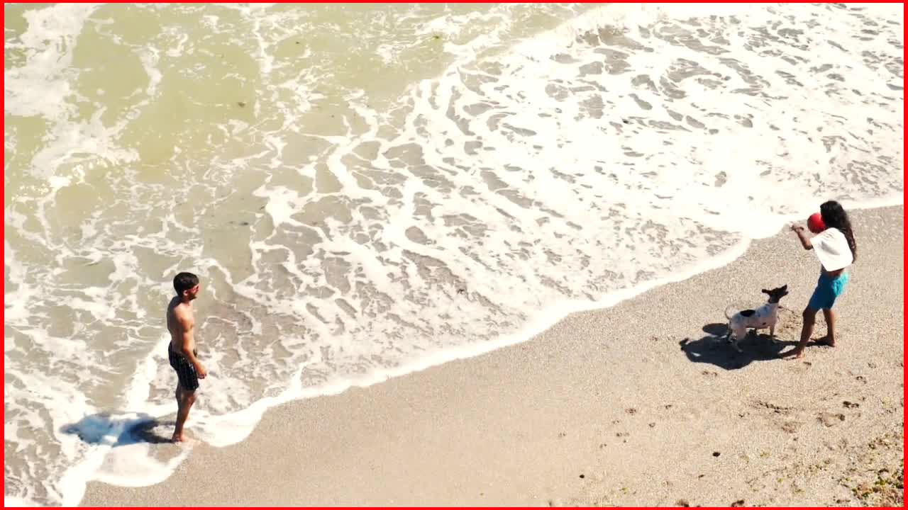 Summer Holiday With Dog At The Side Of Beach