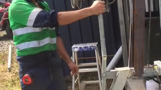 Crushing Cans to Fill Some Quarantine Time