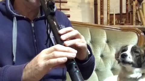 My dog joining the flute