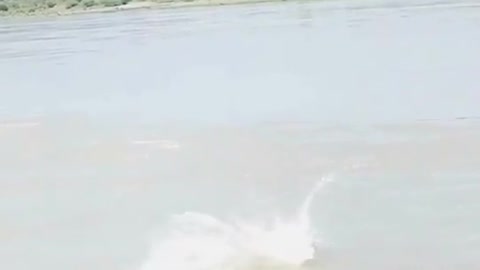 Jump river