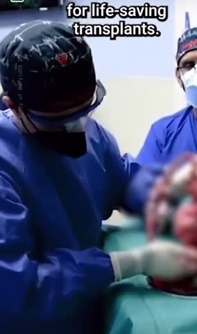 Doctors have transplanted a pig heart into a man