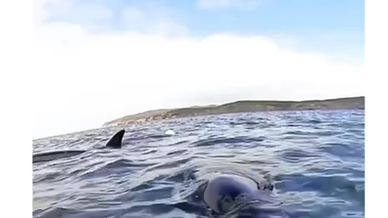 Asking humans for help - awesome