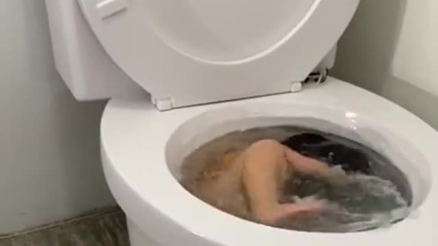 Toilet bath